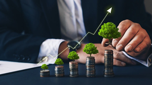 Scaling With Innovation
